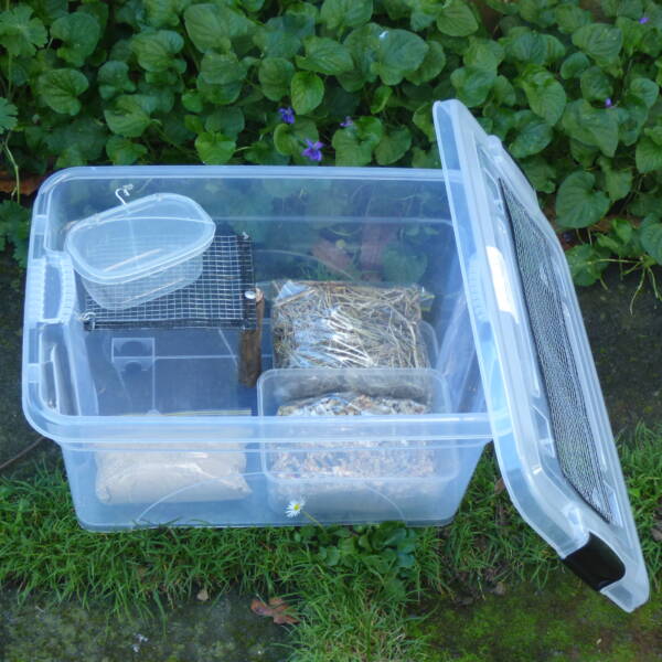 Small Travel Cage - Image 2