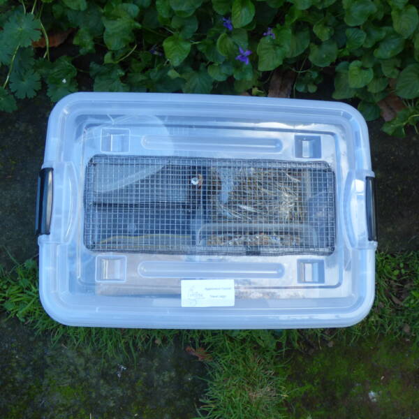 Small Travel Cage - Image 3