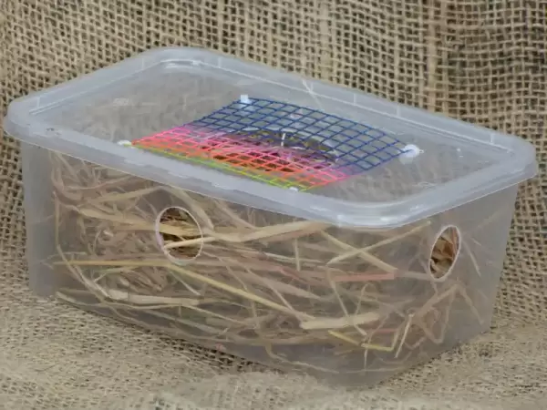 See me house for mice