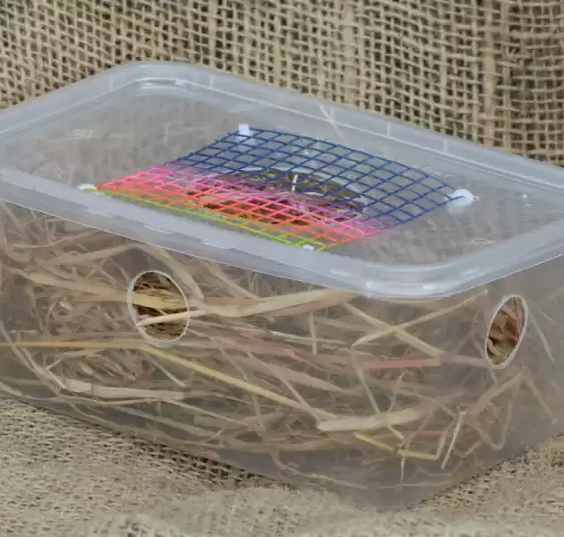See me house for mice