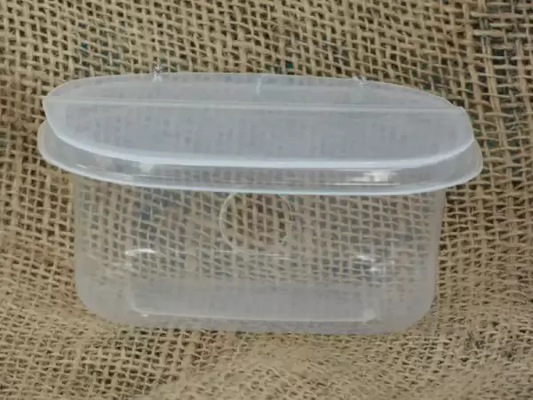 See me house for mice - Image 2