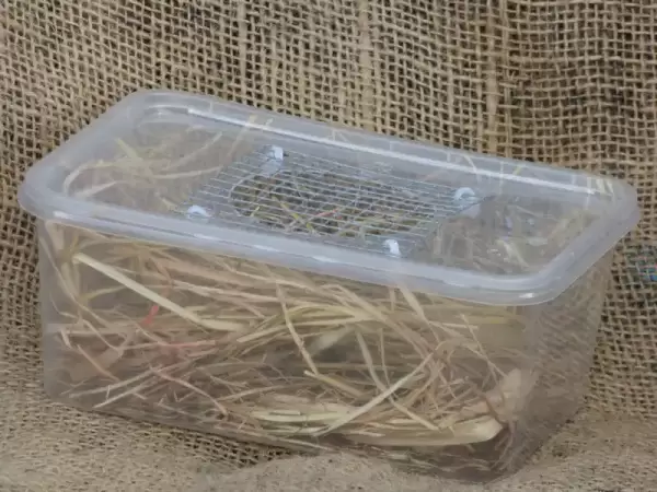 See me house for mice - Image 3