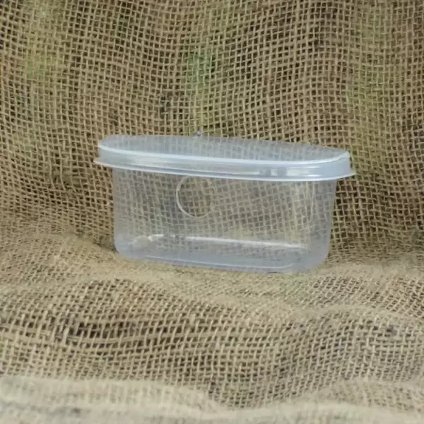 See me house for mice - Image 4
