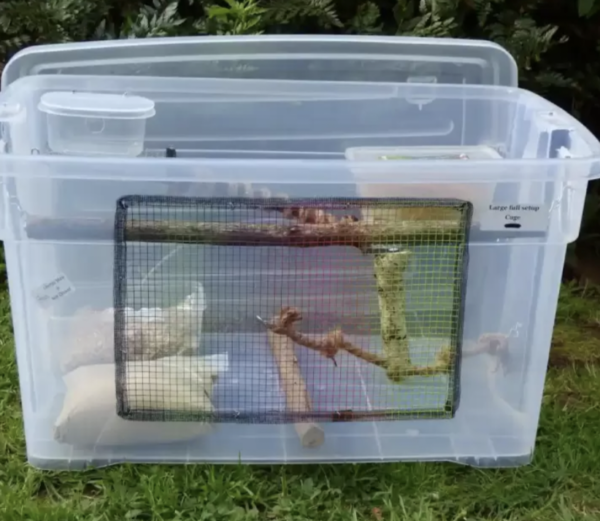Full Set up, Medium 42 ltr, Escape-proof Mouse Cage