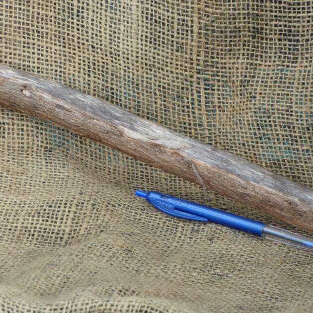 Chew Log Divider for mice and rats