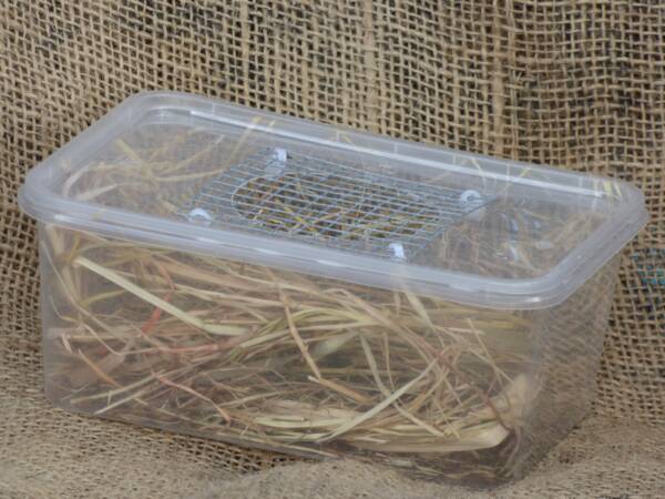 Carry Box for mice