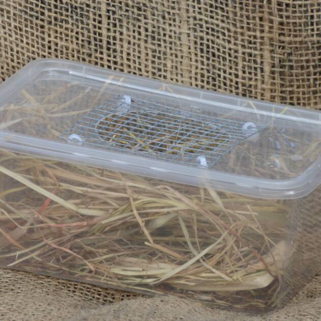 Carry Box for mice