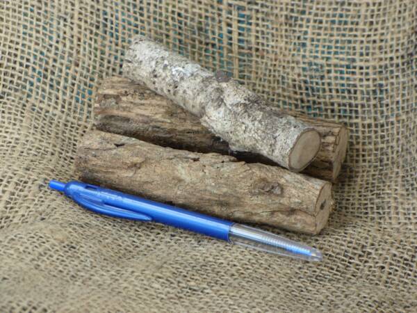 Chew Logs (x3) for mice and rats