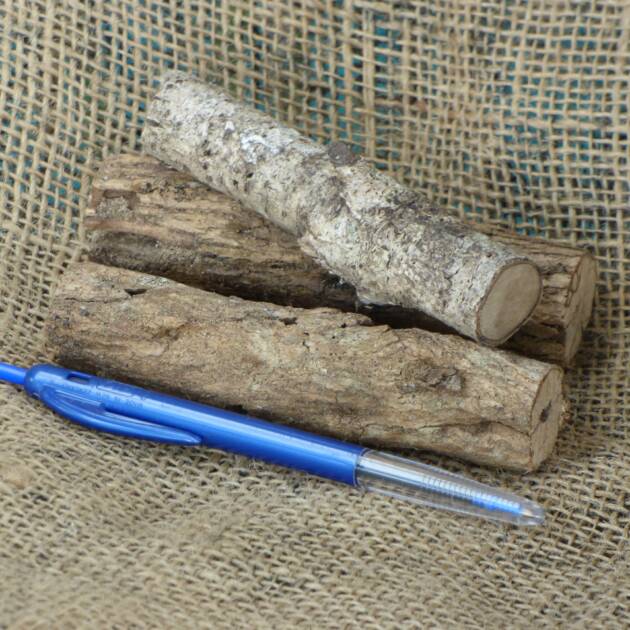 Chew Logs (x3) for mice and rats