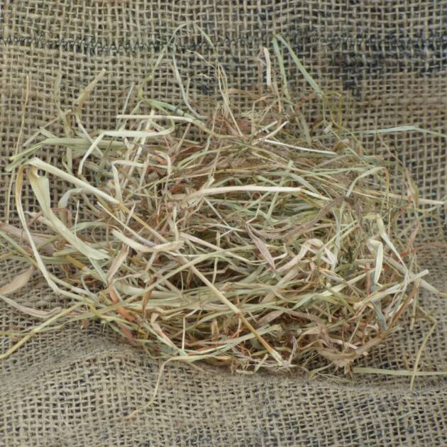 Meadow Hay for mice and rats (100g)