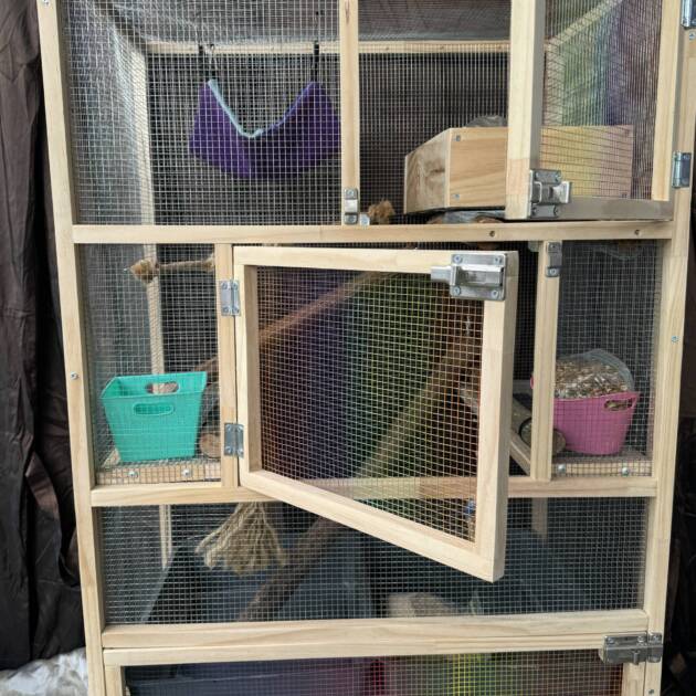 Rat Cage Medium