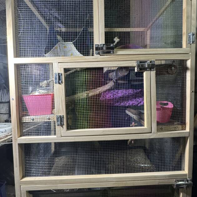 Courier for rat cages from $85 NI,$95 SI