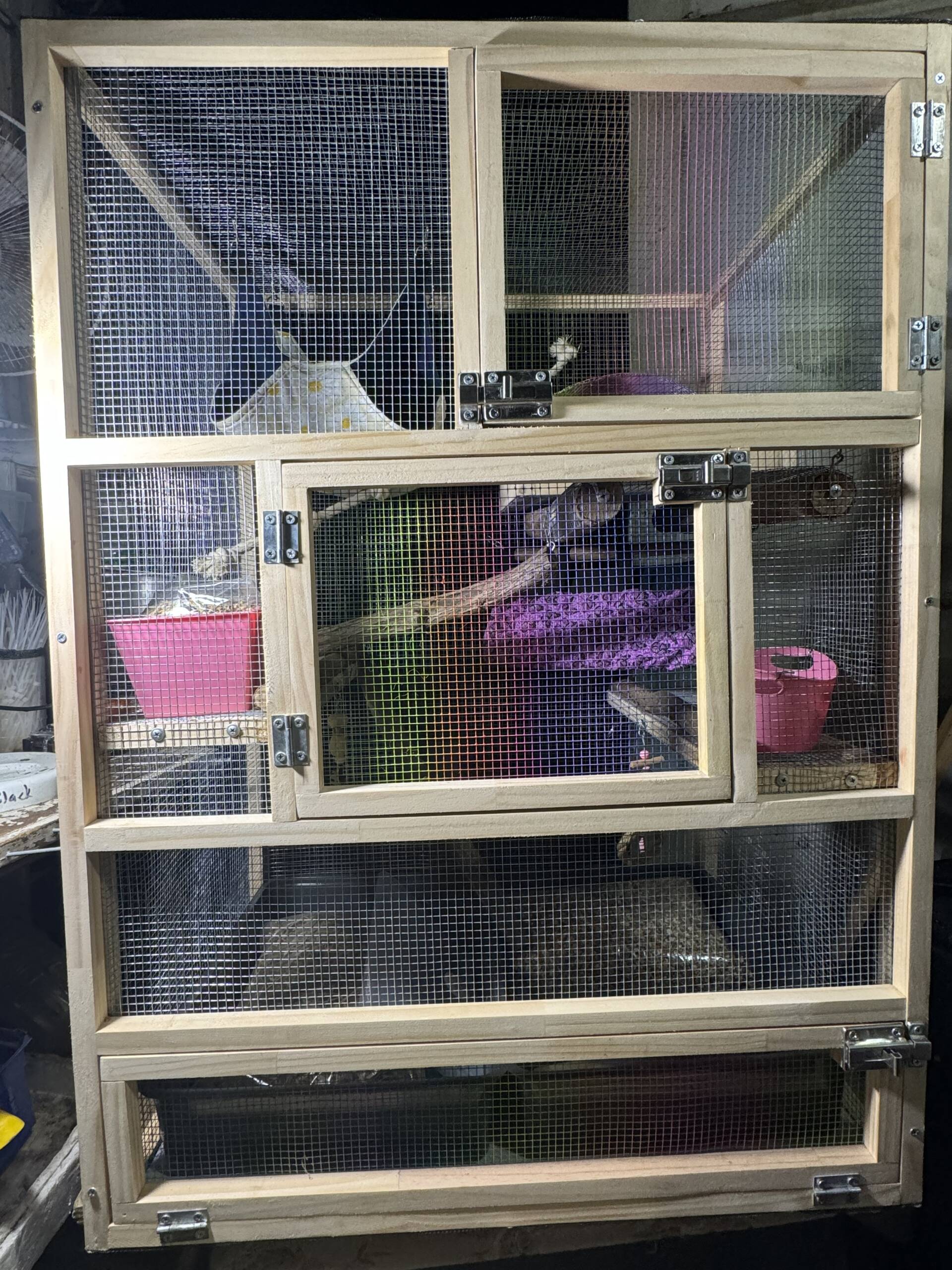 Courier for rat cages from $85 NI,$95 SI