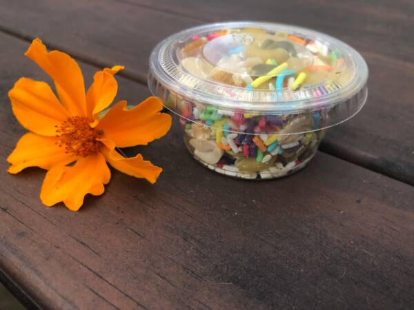 Party Time Treats for mice and rats