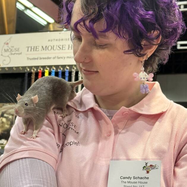 Mouse and Rat sitting