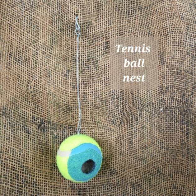 Tennis Ball Nest for Mice