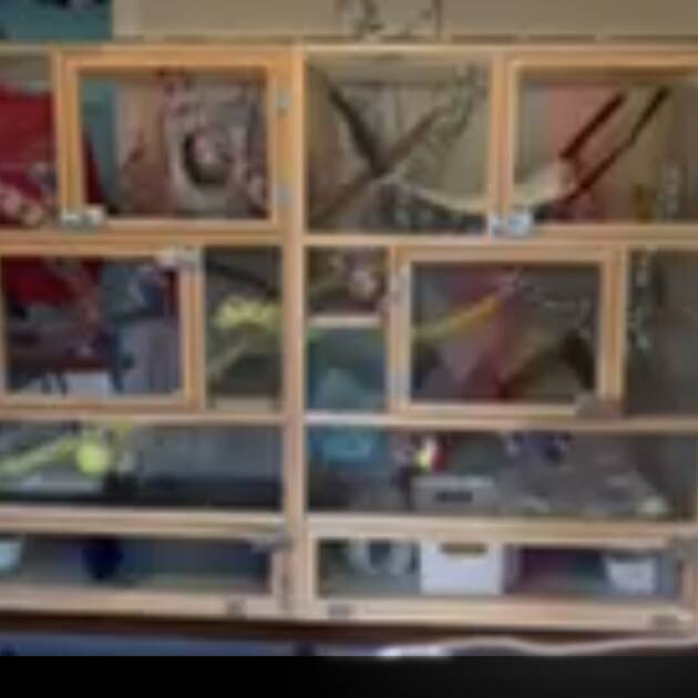 Super sized cages for rats