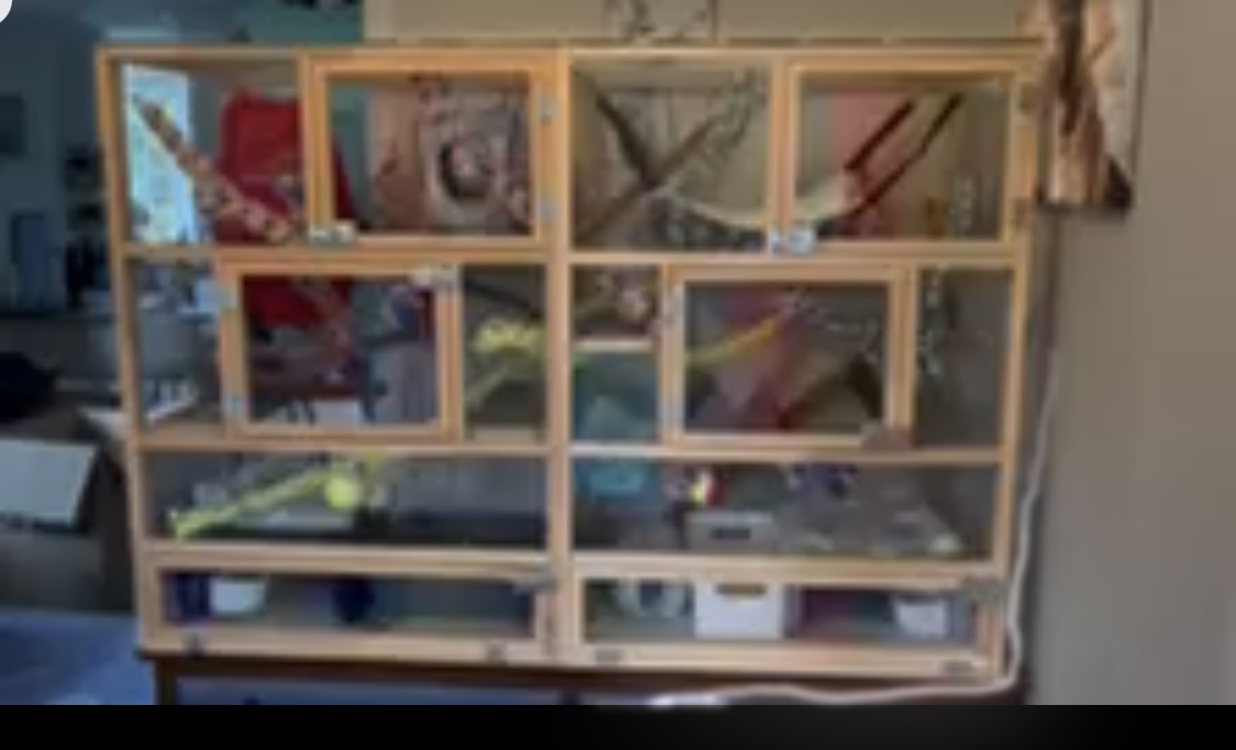 Super sized cages for rats